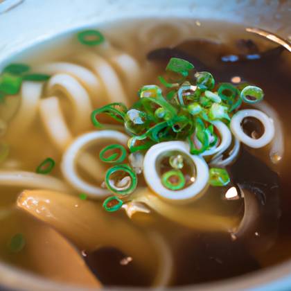 Udon polévka