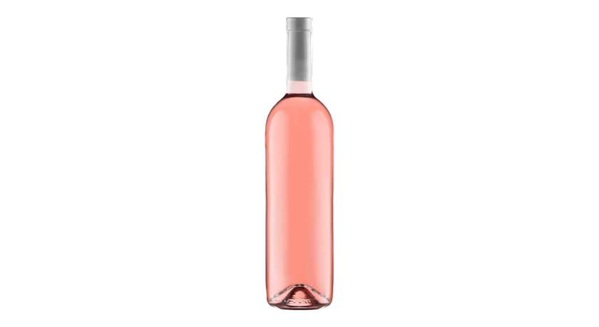 Rose D' Anjou