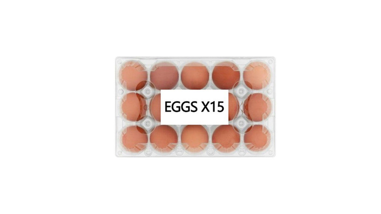 Eggs Bezzina, X 15
