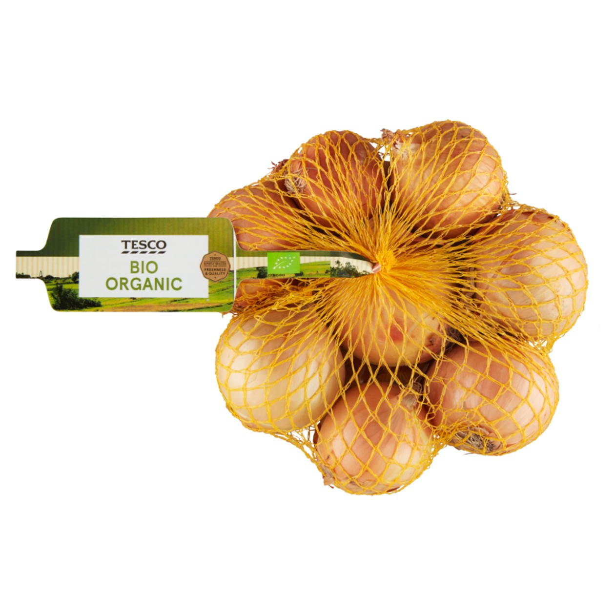 Tesco Bio Cibule Žlutá 500g