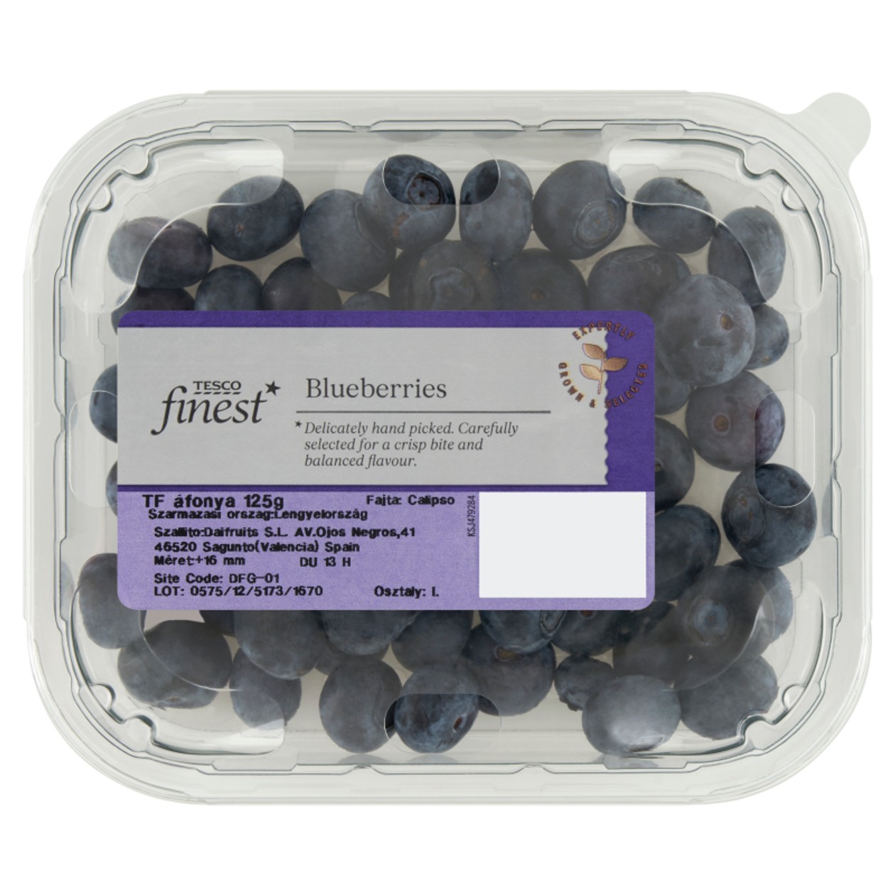Tesco Finest Borůvky 125 g