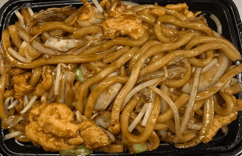 Udon Noodles with Chicken