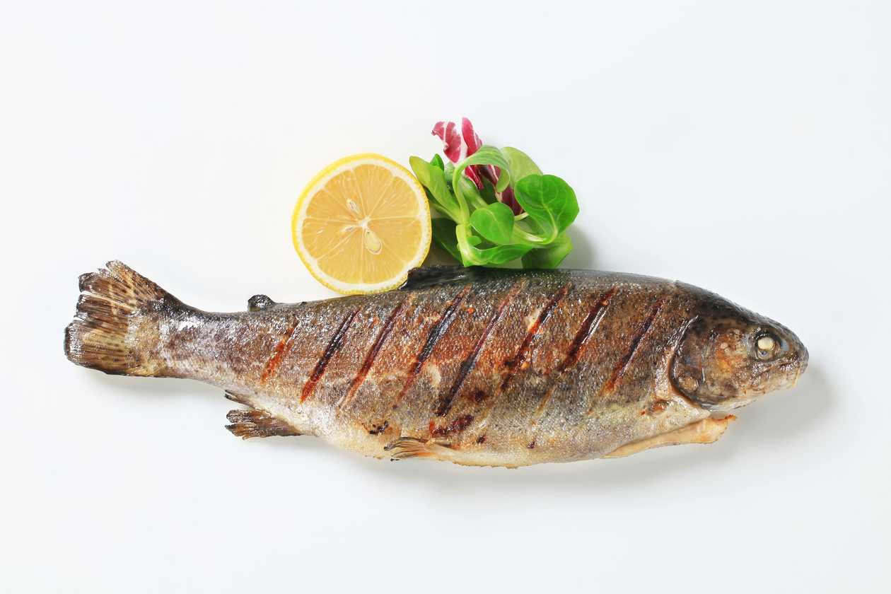 Grilled Trout 200g