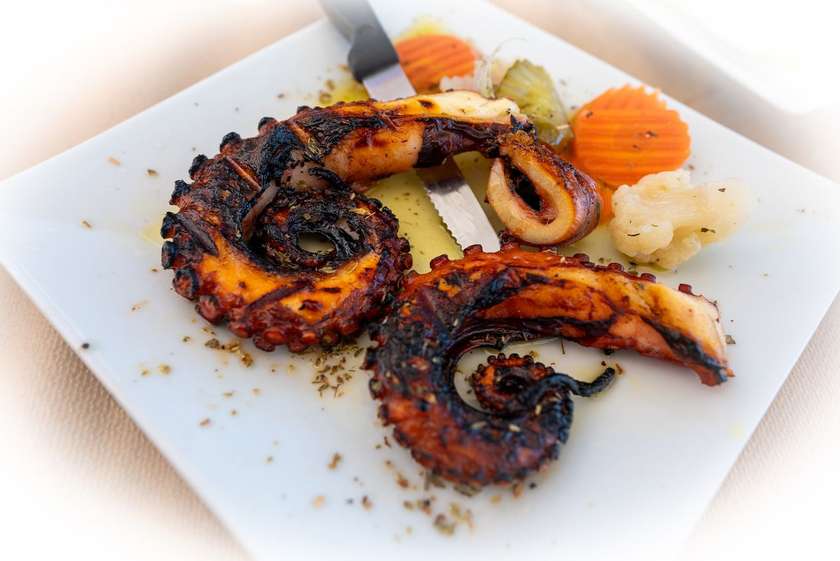 Grilled octopus tentacles