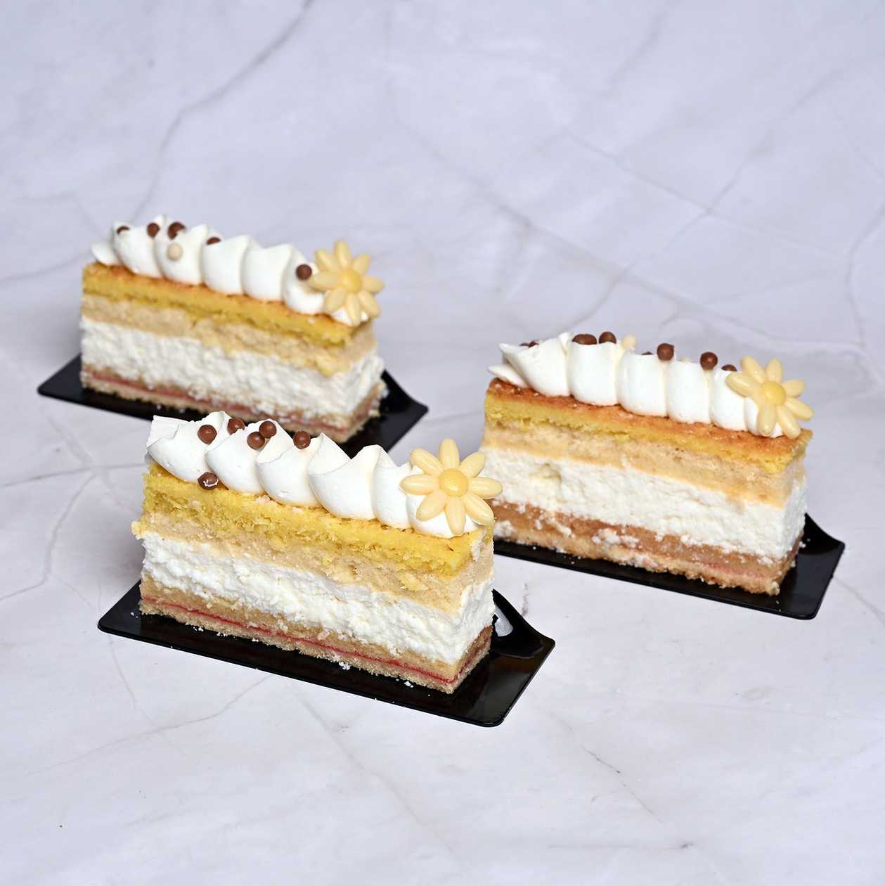 Roma Fancy Delight (4)