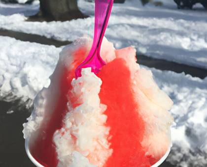 Tropical Dream Snow Cone