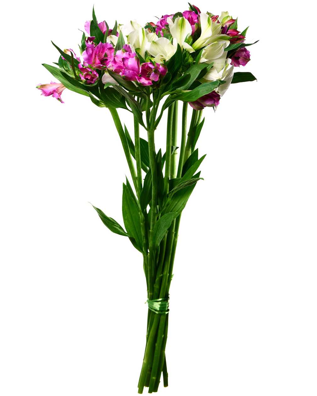 Mix alstroemeria