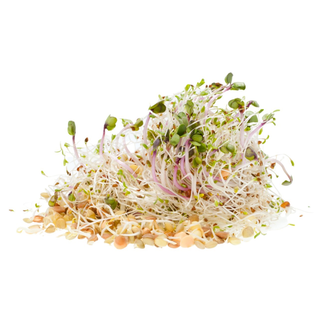 Kiełki Mix BIO 50g (expires soon)
