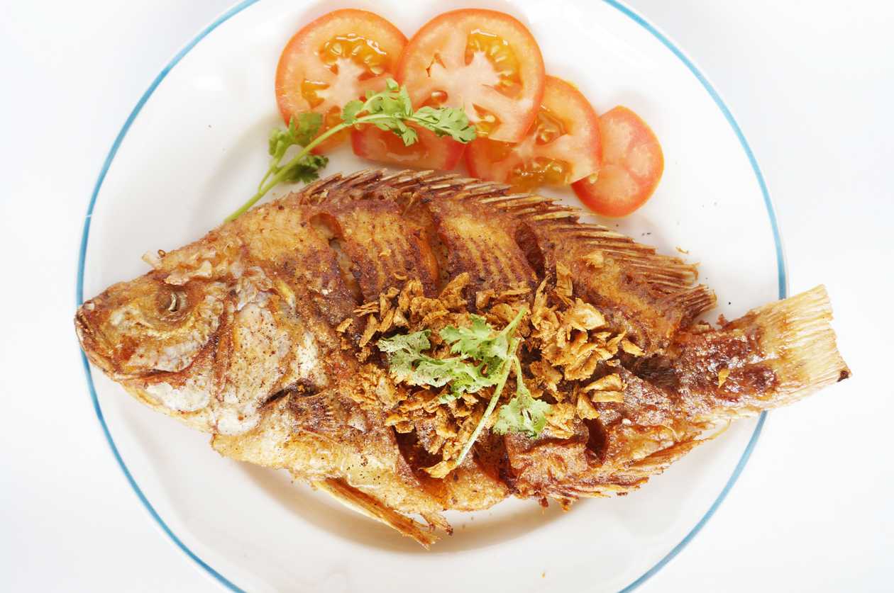 Poussin Fish