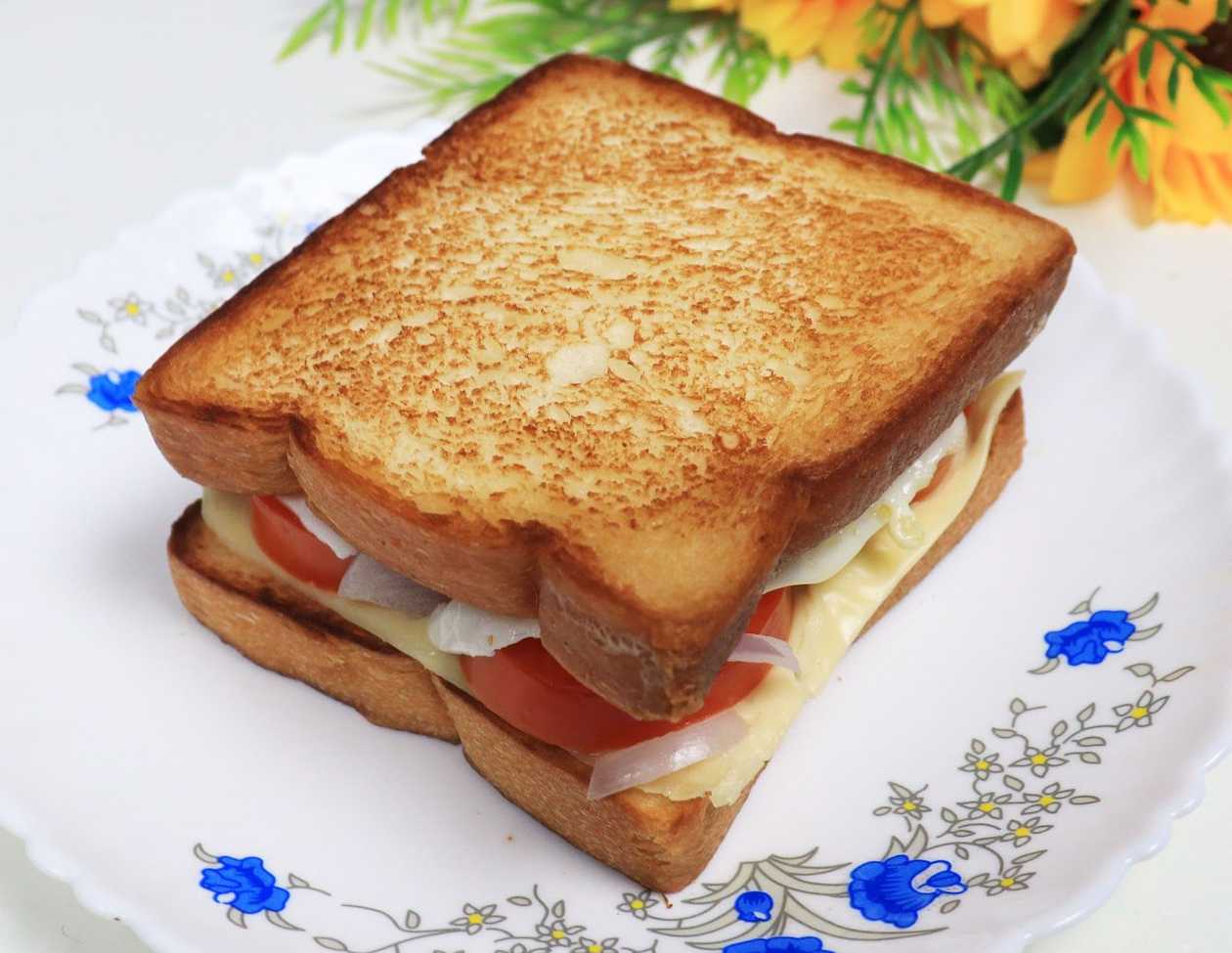 Plain Toast