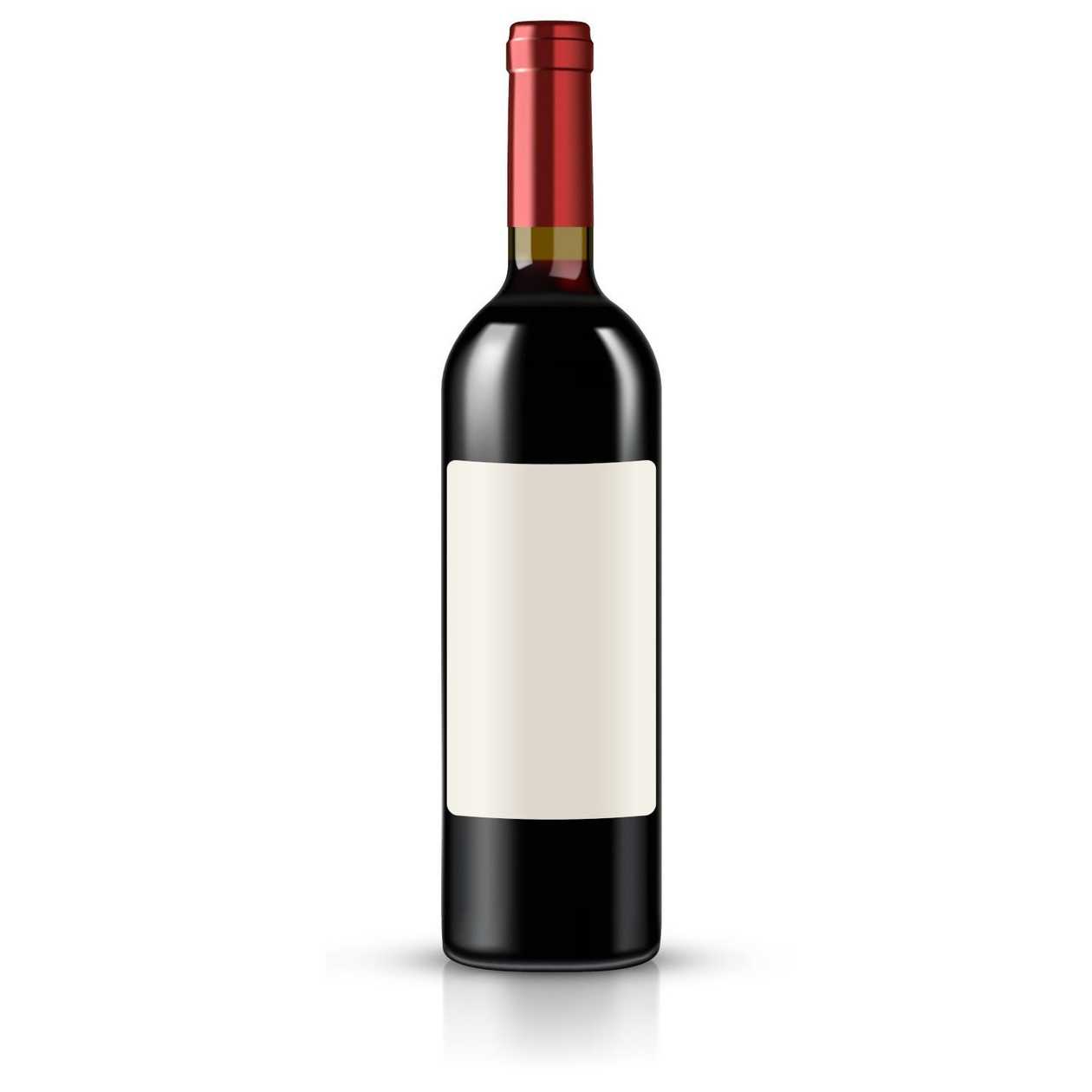 Chateau Castera Medoc AOC 2017