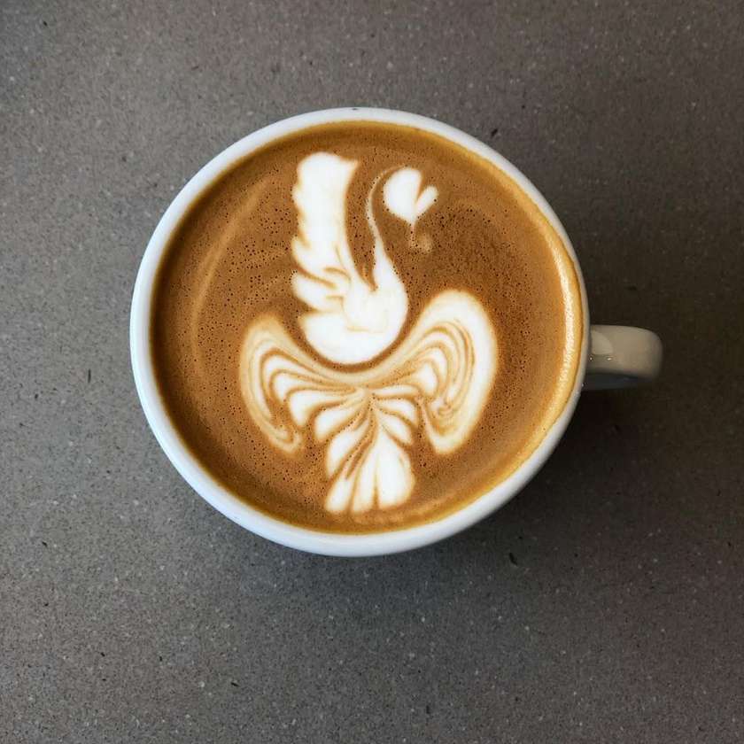 House White