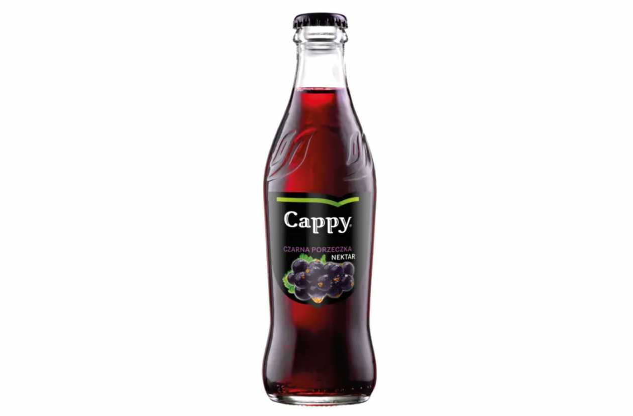 Cappy Blackcurrant Juice 0,25l