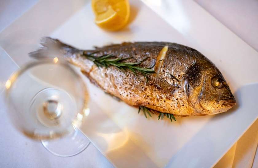 Fish of the Day