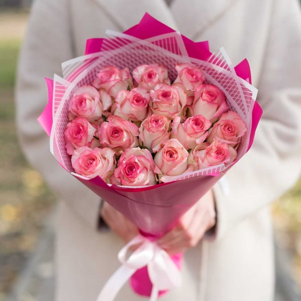 Jumilia, 15 pcs. with packaging