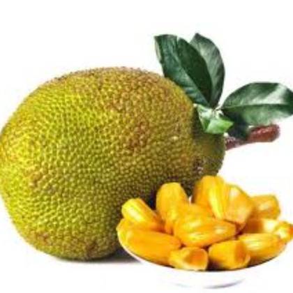 Mnk Jackfruit Per Punnet