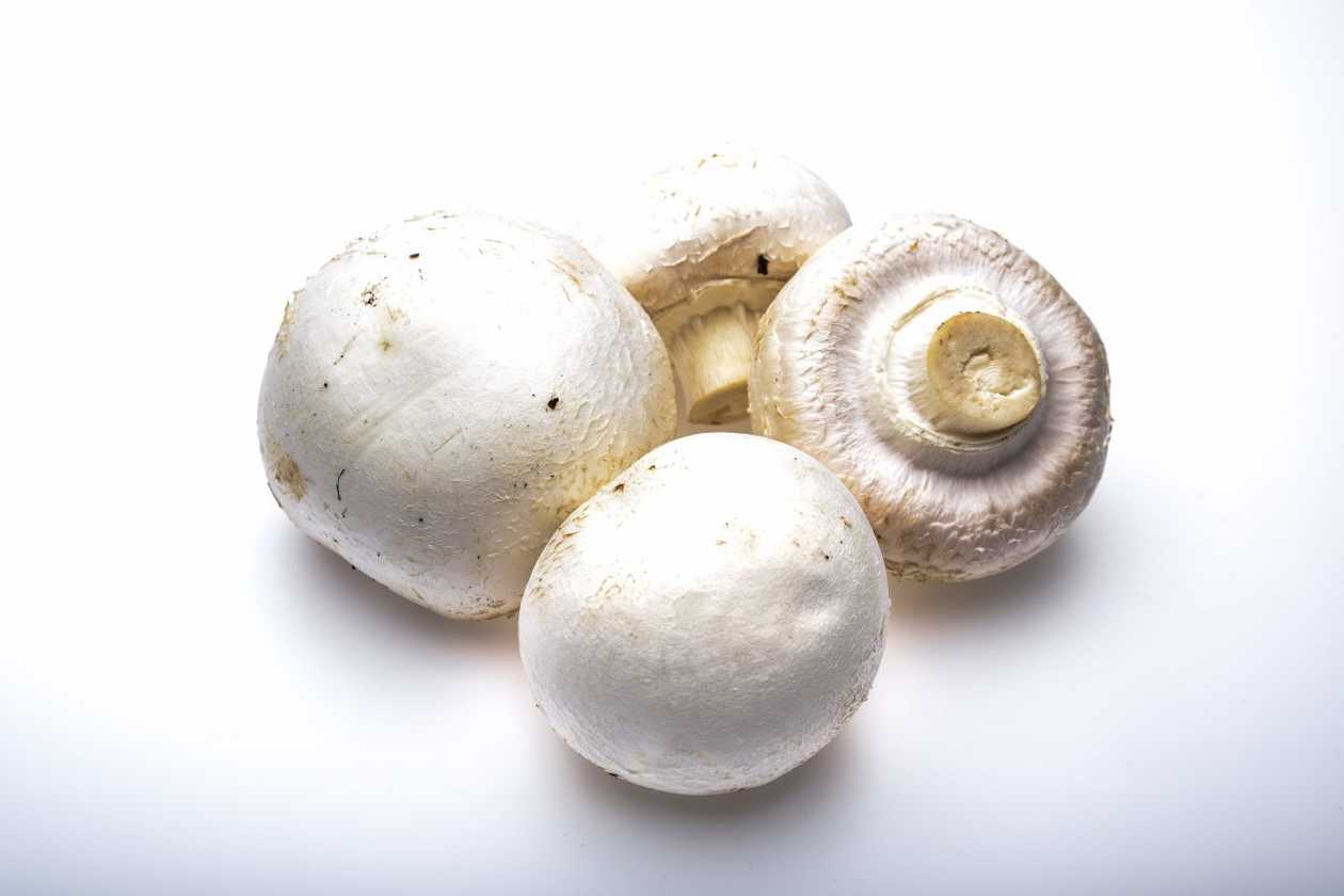Mushrooms