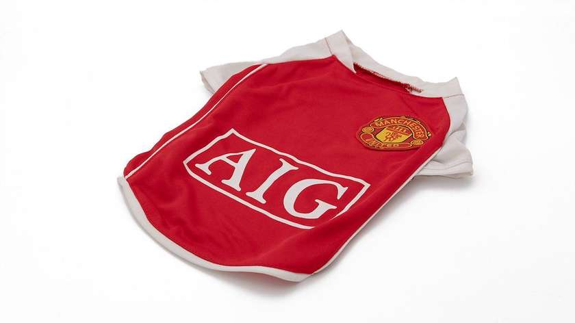 Manchester United T Shirt 28cm