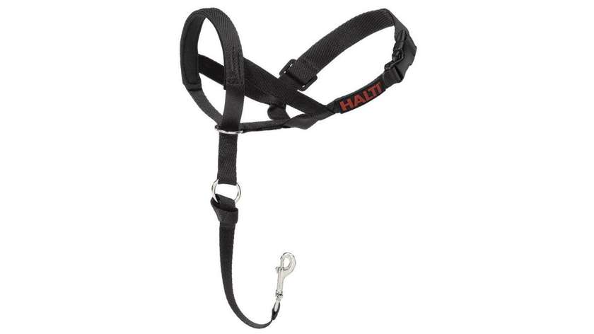Halti Headcolar Stop Pulling Kindly Size 1 29-36cm