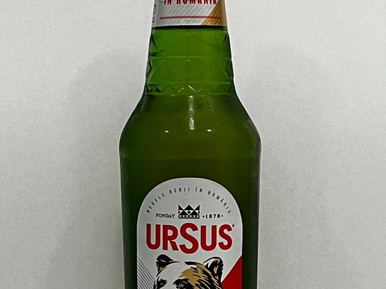 Ursus
