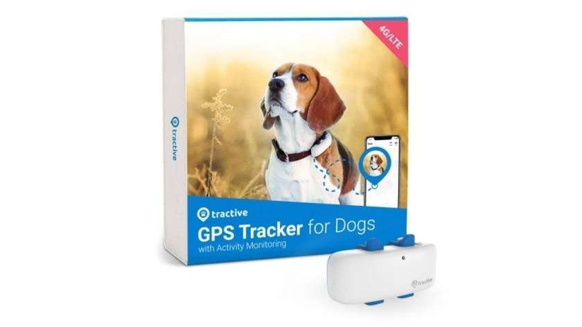GPS Tracking Device for Dogs