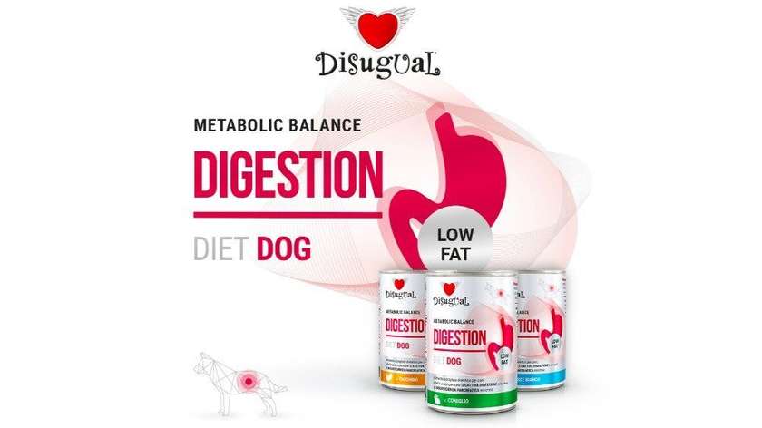 Disugual Diet Dog Digestion Canned Turkey for Dogs 400 g