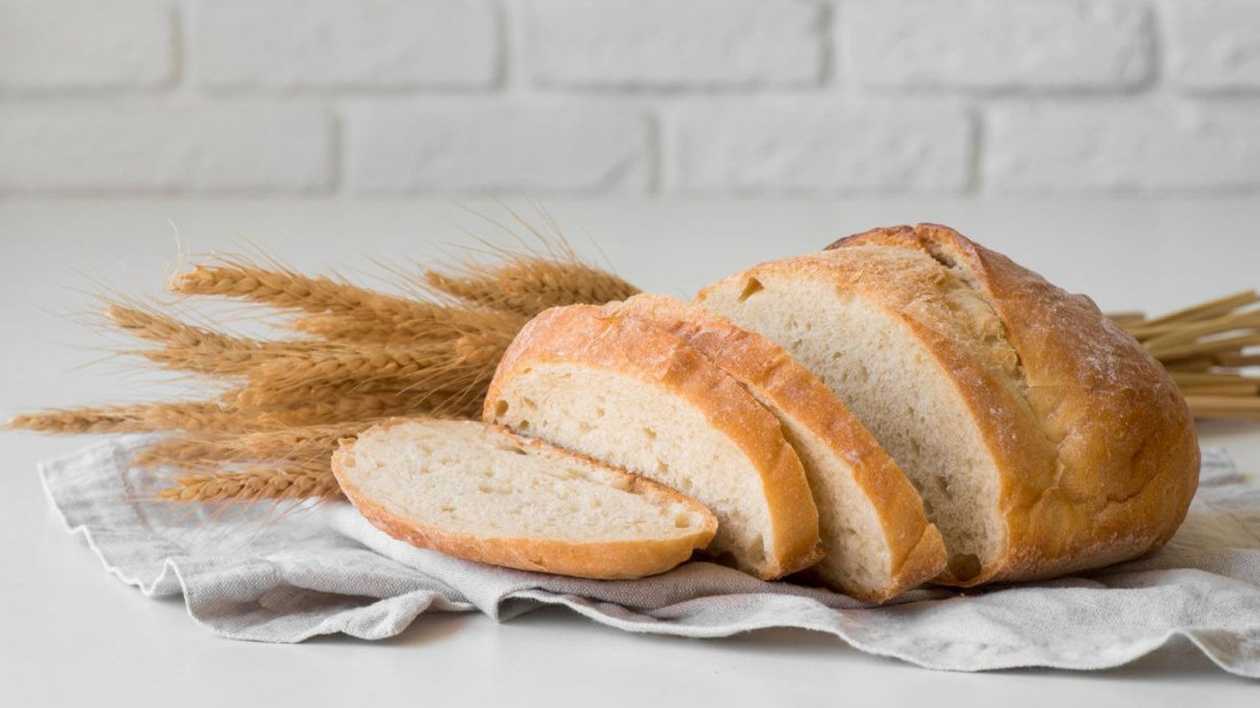 Bread