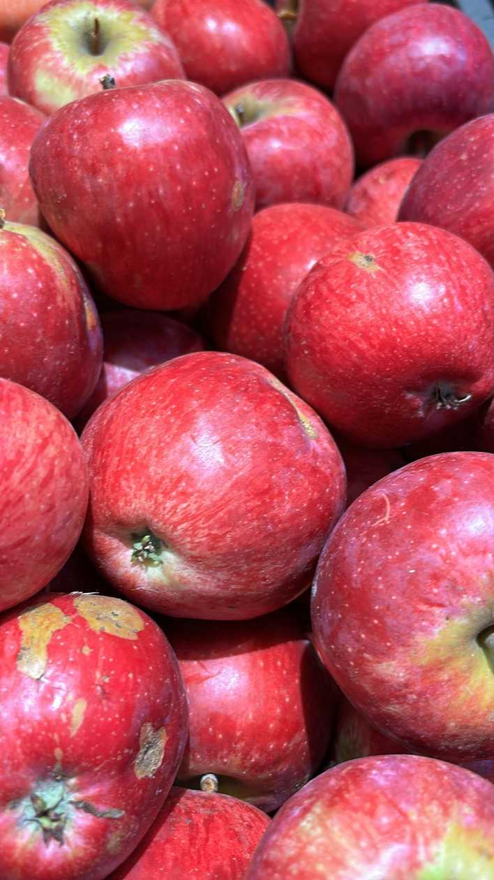 Apples Rubīns, 1 kg, Latvia