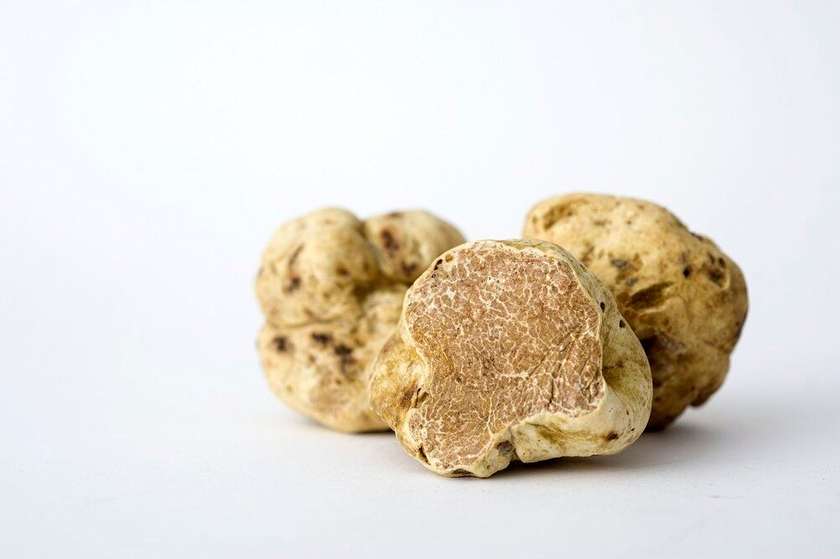 White Truffle "Piemonte"