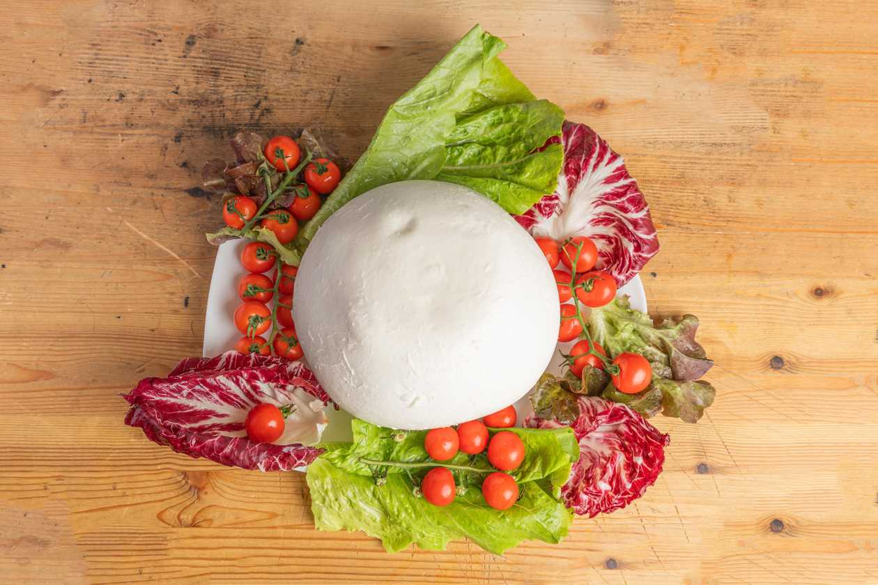 Specialita Mozzarella di Bufola Zizzona, 1000gr
