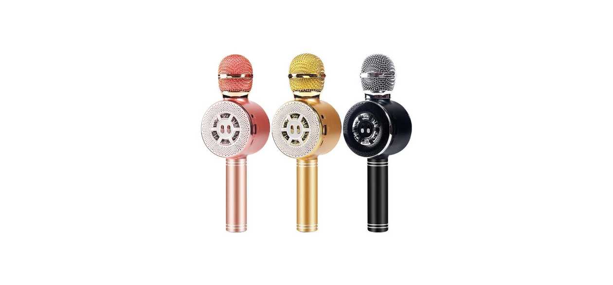 Wireless mikrofon karaoke WS-669