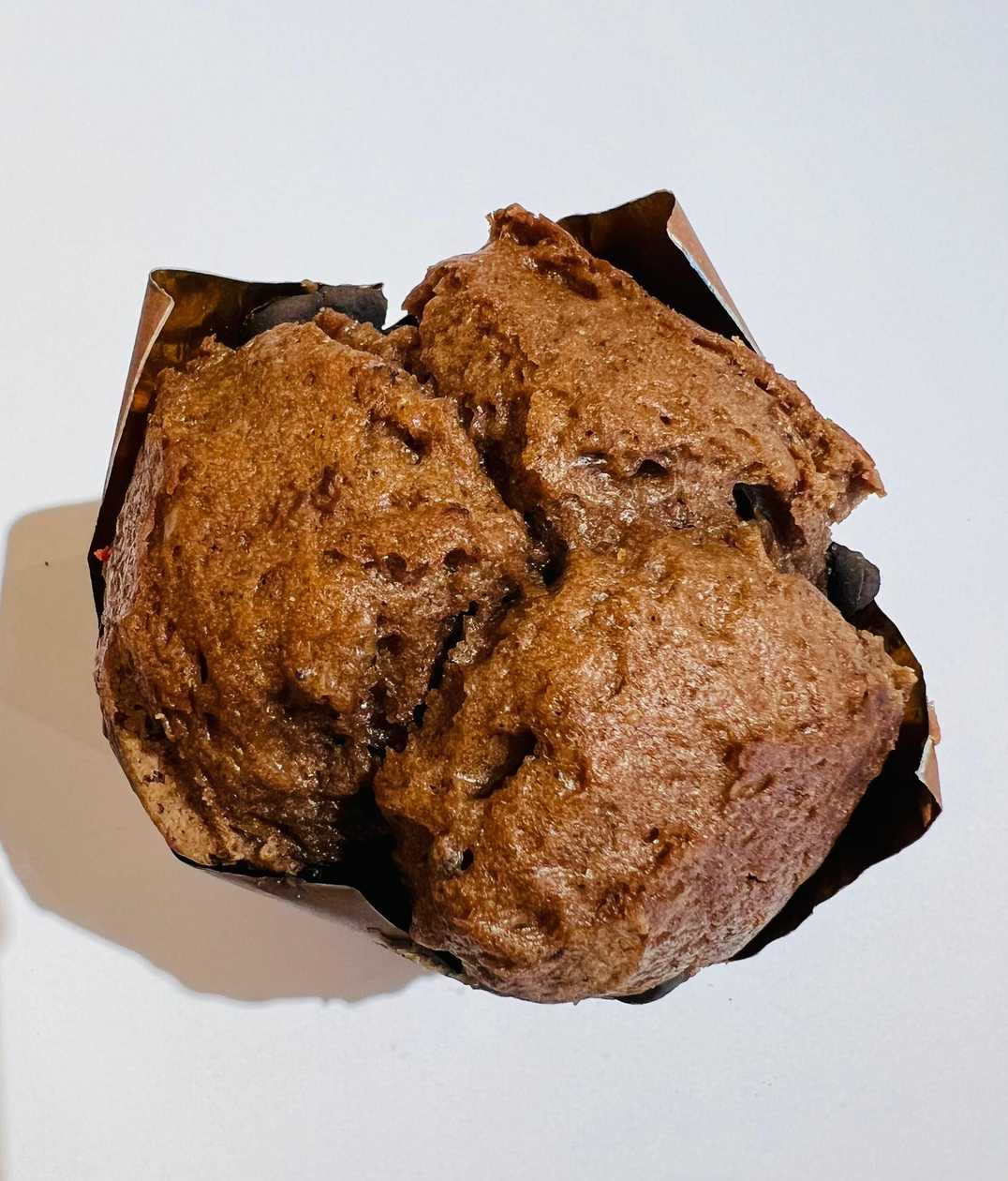 Double Chocolate Muffin