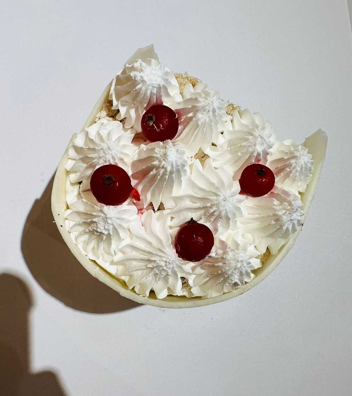 Vanilla Swissroll