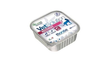 Monge Cat Recovery 100g.