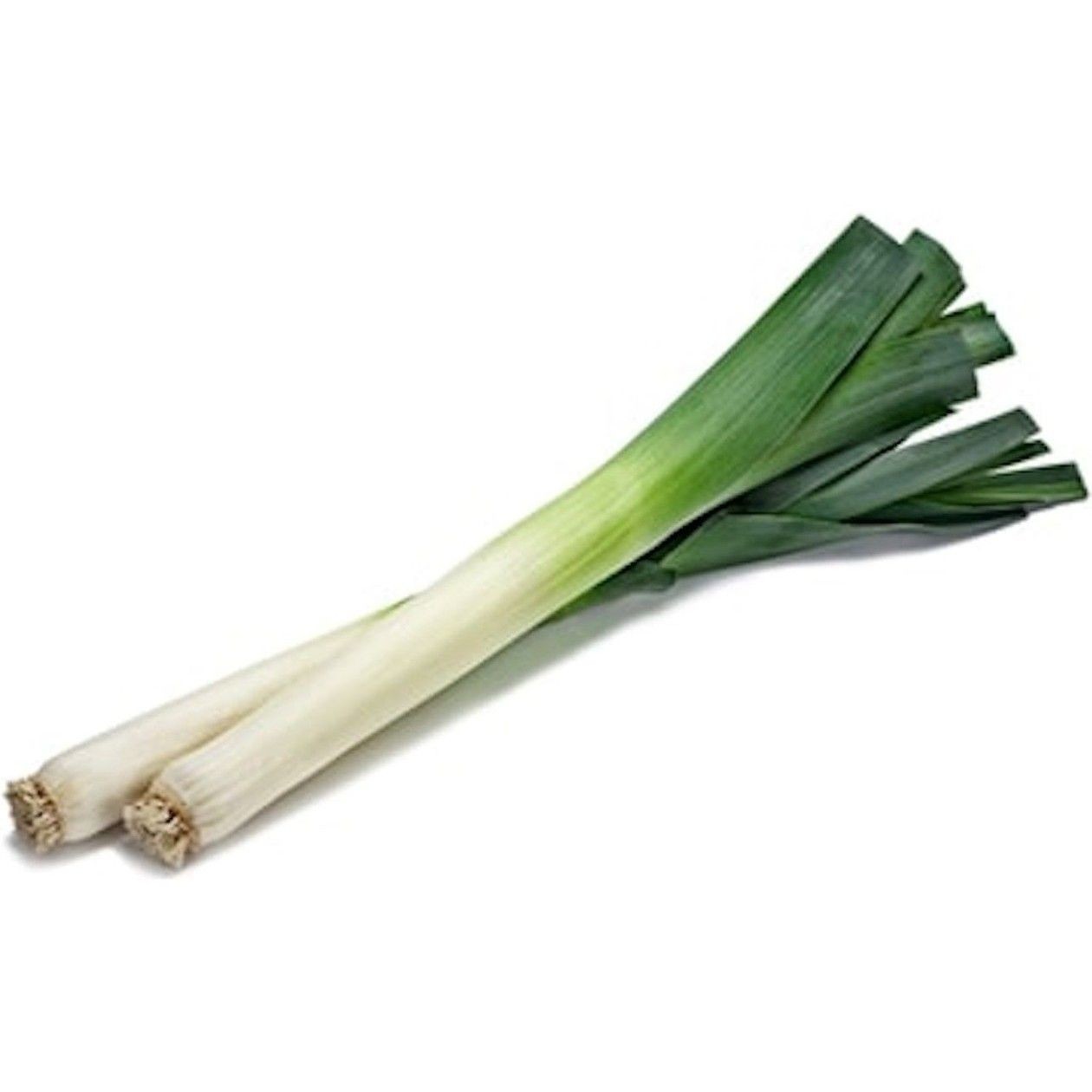 Leek, 1pc (expires soon)