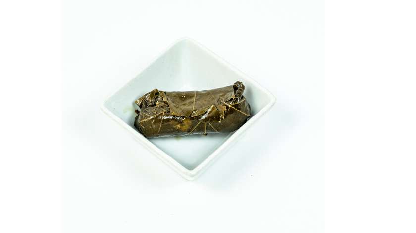 Dolma