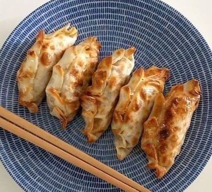 Chicken and Vegetable Gyoza