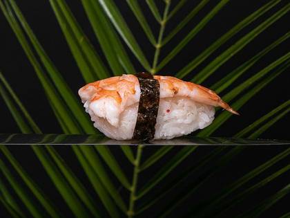 Shrimp Nigiri