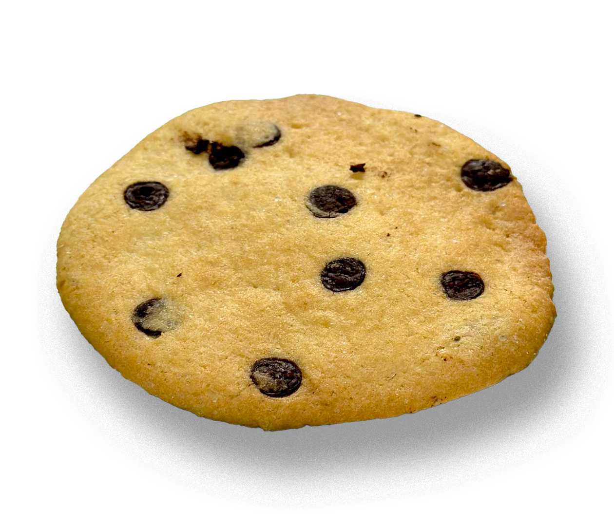 Chocolate Biscuits