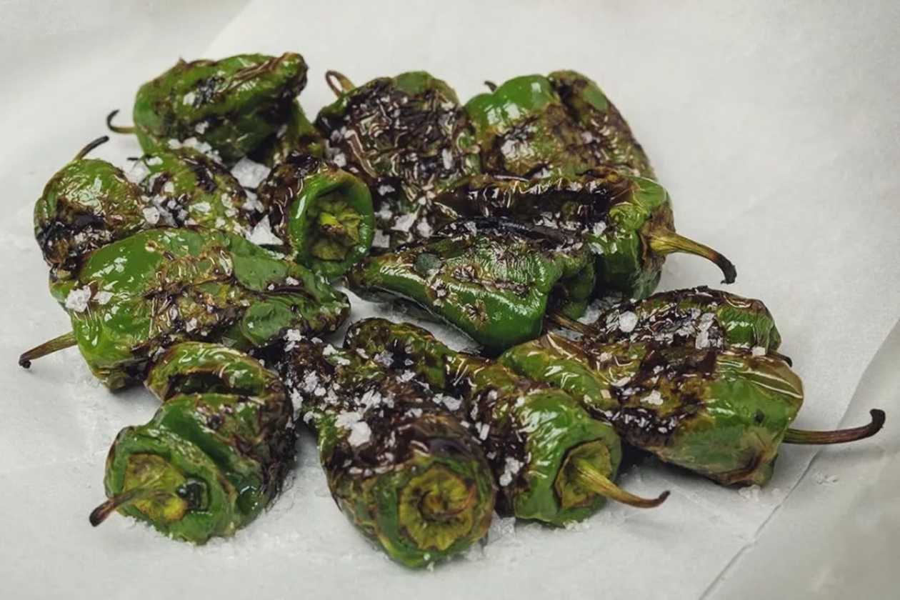 Grilled Padrón Peppers