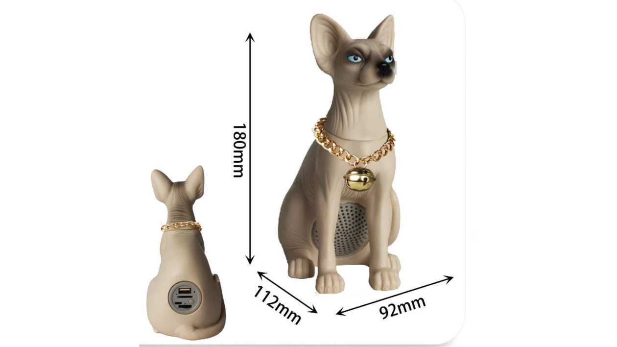 Digital Speaker Cat  CH-M304