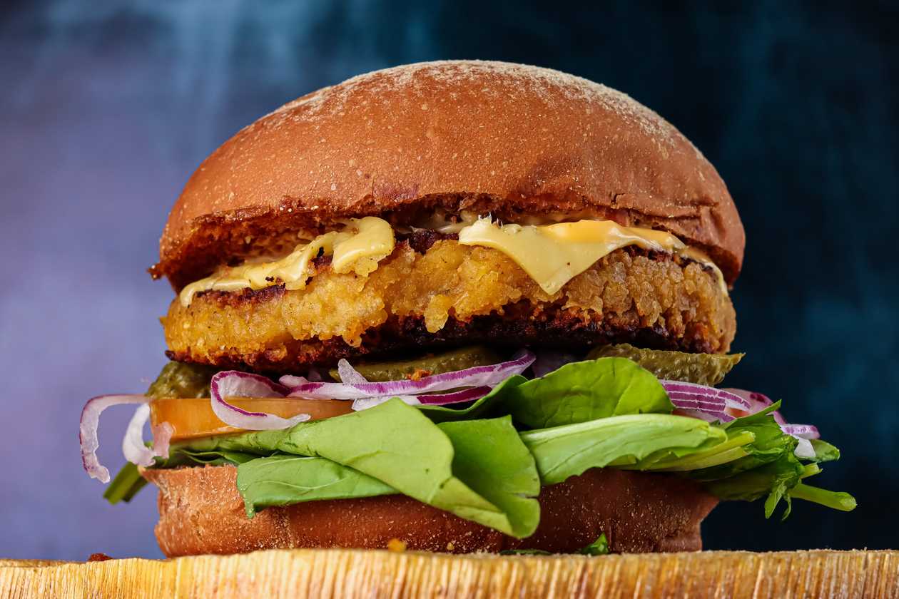 Menu 24 Hamburguer Vegetariano