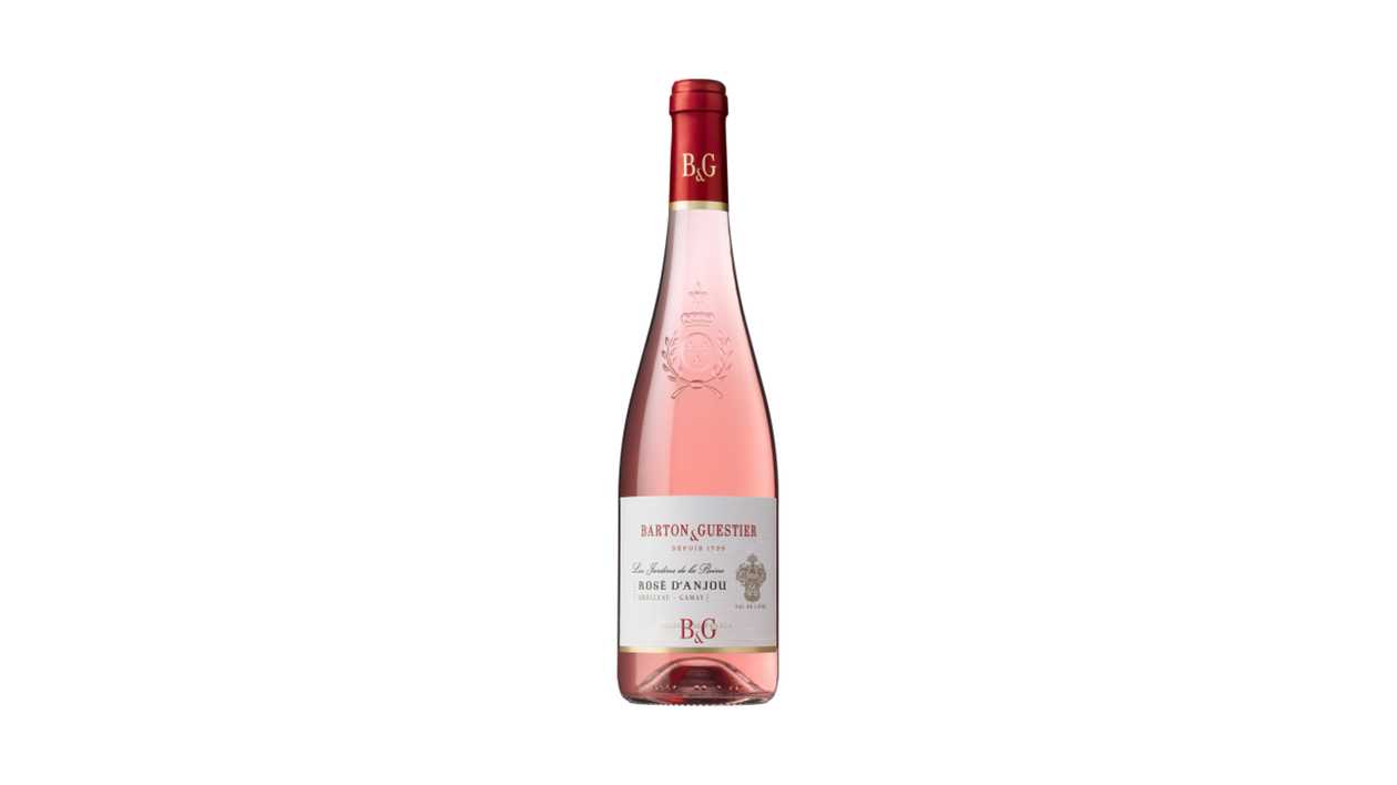 Rose D'anjou