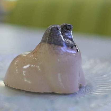 Chocolate Pannacotta