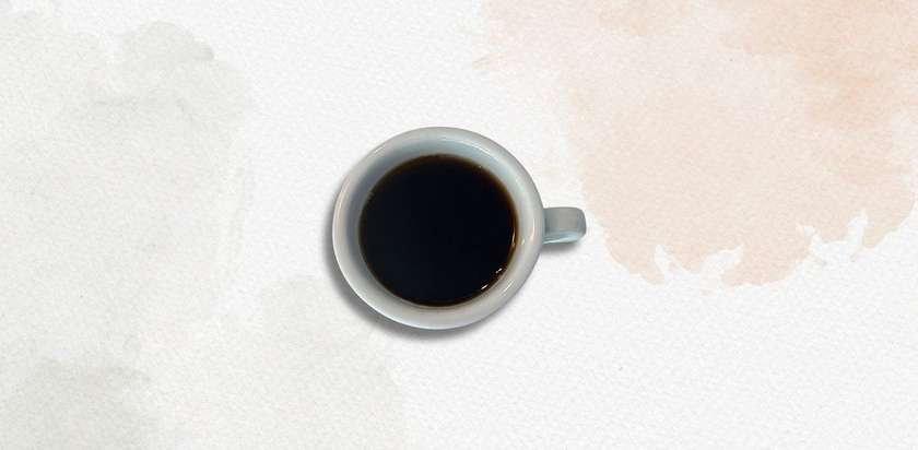Lungo