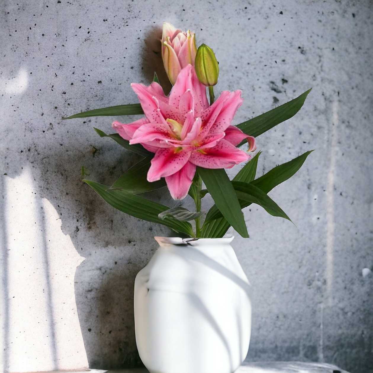 Pink Lilies