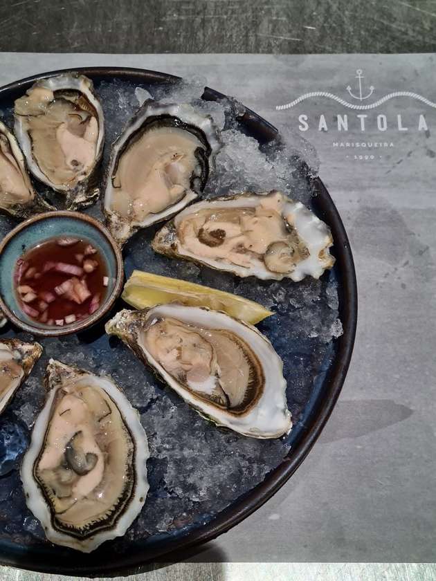 Oysters