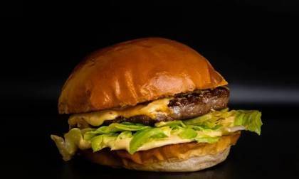 Honey Mustard Beef Burger