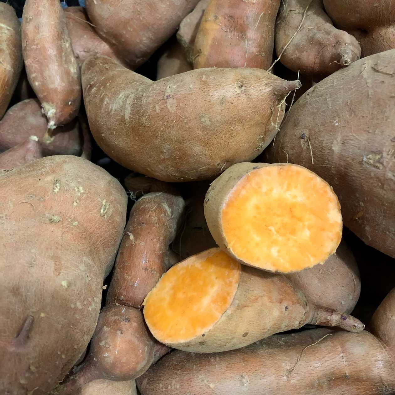 Batata Doce laranja