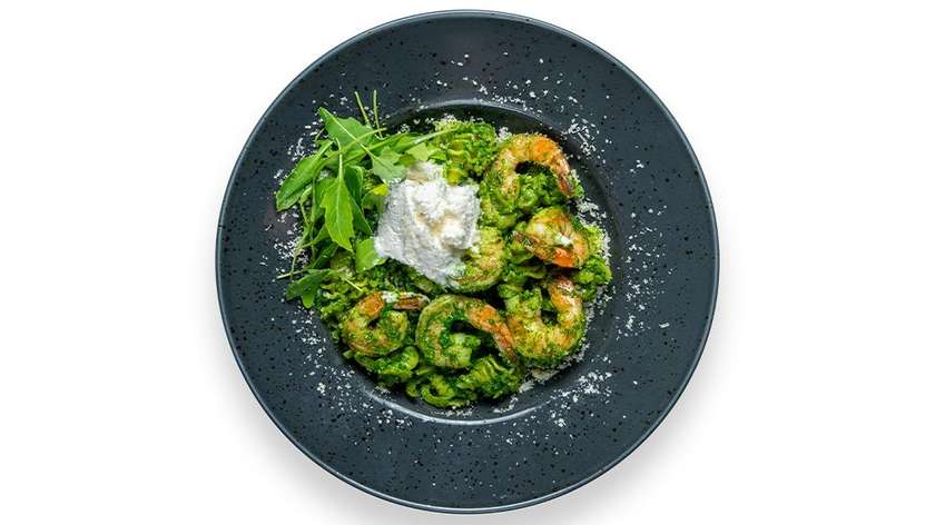 Pasta radiatori with basil pesto and shrimps